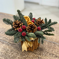 Композиции с нобилисом