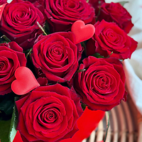 Какие цветы выбрать на 14 февраля?