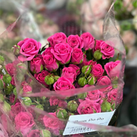 Новая поставка Розы России уже у нас