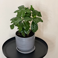 Принимаем заказы 