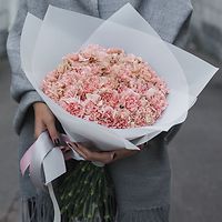 Гвоздики