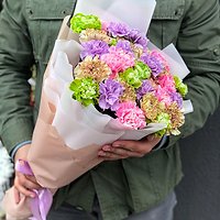 Красивая яркая гвоздика 
