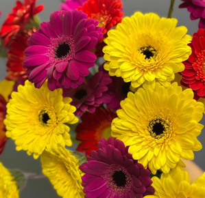 Новая поставка цветов уже в магазине новая поставка