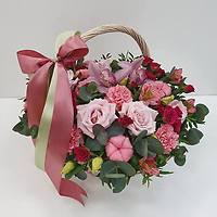 Новая коллекция