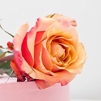 Акция на розы Эквадор 50 см!