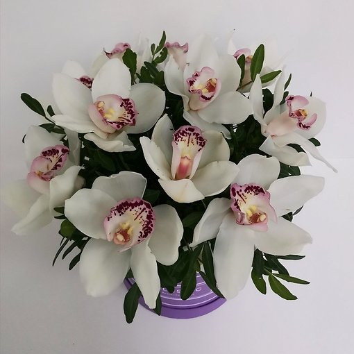 Могут ли цветы влиять на настроение? цветочная терапия