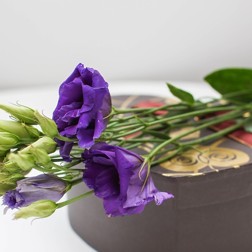 Эустома в Цветочном №1 эустома купить