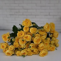 Цветы на новоселье