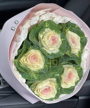 Брассика брассика