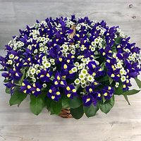 Букеты в корзинах для мужчин 