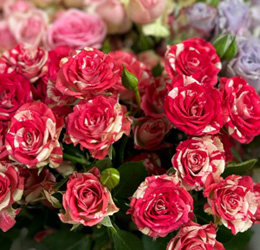 ошибки при заказе цветов