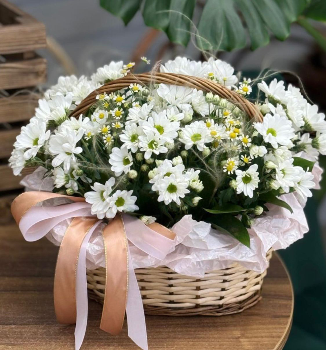 Композиции с хризантемой композиции с хризантемой