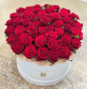 роза россии большой выбор