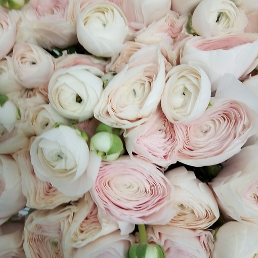 мода дарить цветы