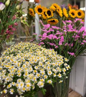 новая поставка цветов