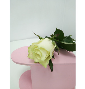 Роза белая, 40 см.