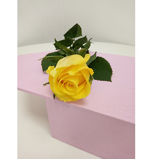 Роза желтая, 40 см