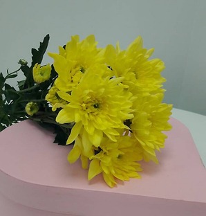 Хризантема желтая, 1 ветка