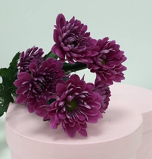 Хризантема фиолетовая, 1 ветка