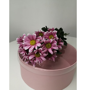 Хризантема светло-фиолетовая, 1 ветка